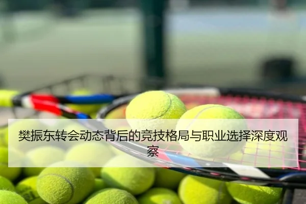 樊振东转会动态背后的竞技格局与职业选择深度观察