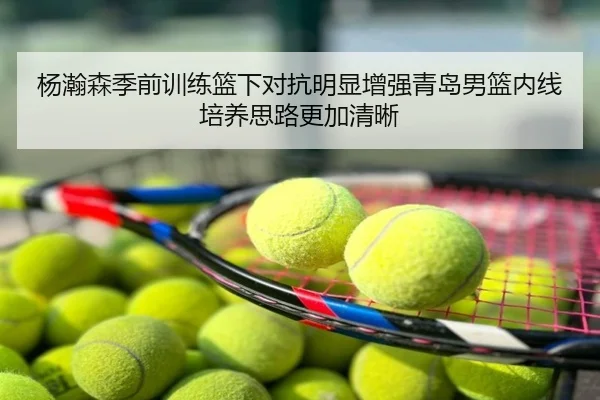 杨瀚森季前训练篮下对抗明显增强青岛男篮内线培养思路更加清晰