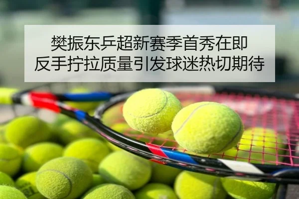 樊振东乒超新赛季首秀在即 反手拧拉质量引发球迷热切期待
