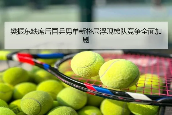 樊振东缺席后国乒男单新格局浮现梯队竞争全面加剧